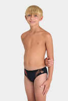 Плавки Arena SWIM BRIEFS GRAPHIC 005547-530