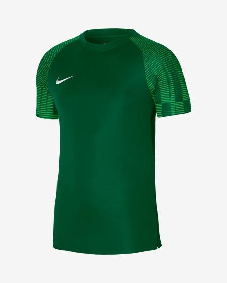 Футболка ігрова Nike Dri-FIT Academy DH8369-302 DH8369-302