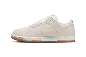Кросівки Nike SB DUNK LOW PRO B HJ0367-100