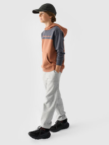 Джемпер флісовий дитячій SWEATSHIRT M1222 4FJWAW24TSWSM1222-65S 4F 4FJWAW24TSWSM1222-65S