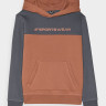Джемпер флісовий дитячій SWEATSHIRT M1222 4FJWAW24TSWSM1222-65S 4F 4FJWAW24TSWSM1222-65S