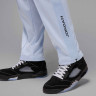 Штани чоловічі Air Jordan Essentials Tracksuit Bottoms Light Blue HF9341-407