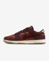 Кросівки Nike DUNK LOW RETRO SE IB6399-600