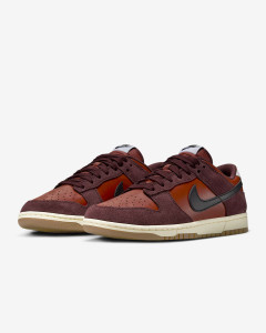 Кросівки Nike DUNK LOW RETRO SE IB6399-600