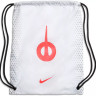 Бутси Nike LEGEND 10 ELITE SG-PRO AC DV4329-100