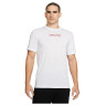 Футболка CHAMPION T-SHIRT T5031P A770