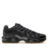 Кросівки Nike Air Max Plus FV0377-001