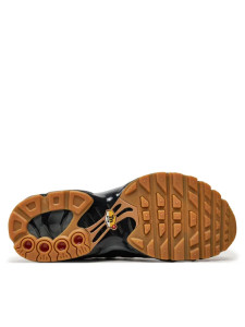 Кросівки Nike Air Max Plus FV0377-001