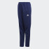 Штани Adidas CONDIVO18 TR Y CV8245