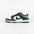 Кросівки Nike DU LOW RETRO DV0833-111