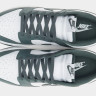 Кросівки Nike DUNK LOW RETRO DV0833-111