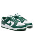 Кросівки Nike DUNK LOW RETRO DD1391-101