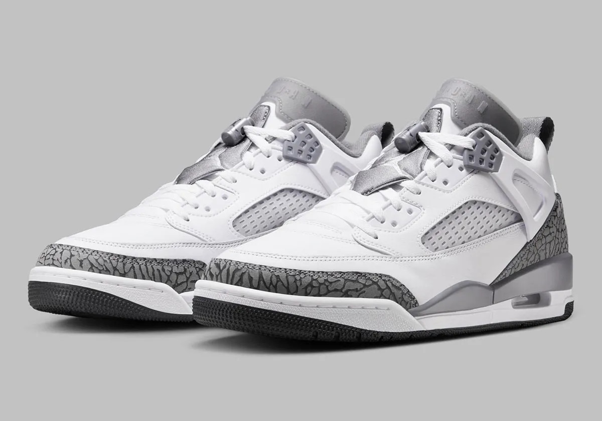 Кросівки Nike Air Jordan Spizike Low FQ1759-102