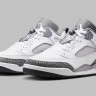 Кросівки Nike Air Jordan Spizike Low FQ1759-102