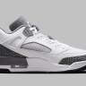 Кросівки Nike Air Jordan Spizike Low FQ1759-102