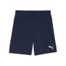 Шорти teamGOAL Shorts 705752-06
