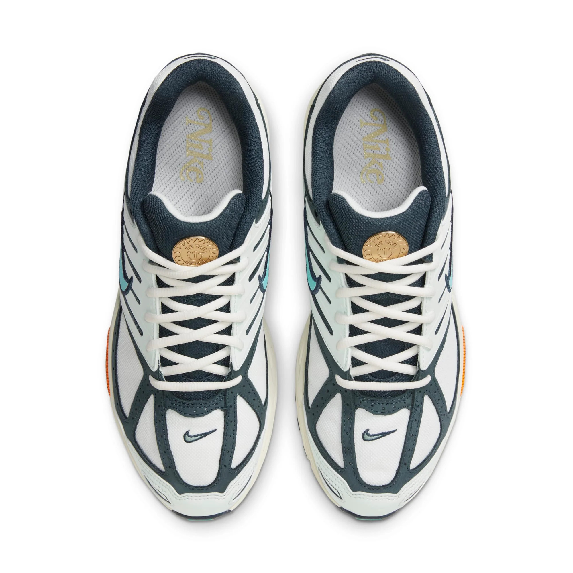 Кросівки Nike Air Pegasus 2005 HM3727-131