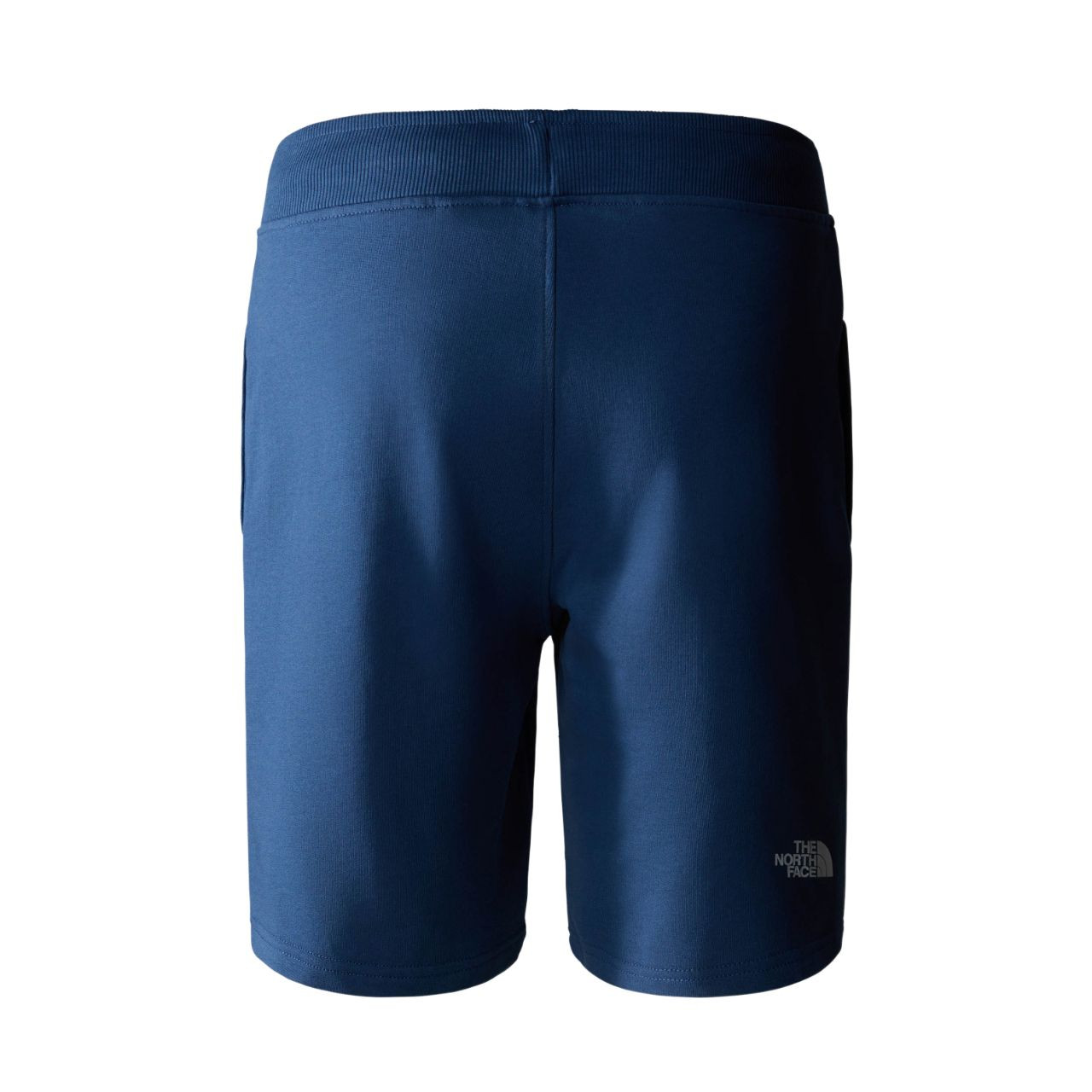 Шорти The North Face STANDARD SHORT NF0A3S4EHDC1