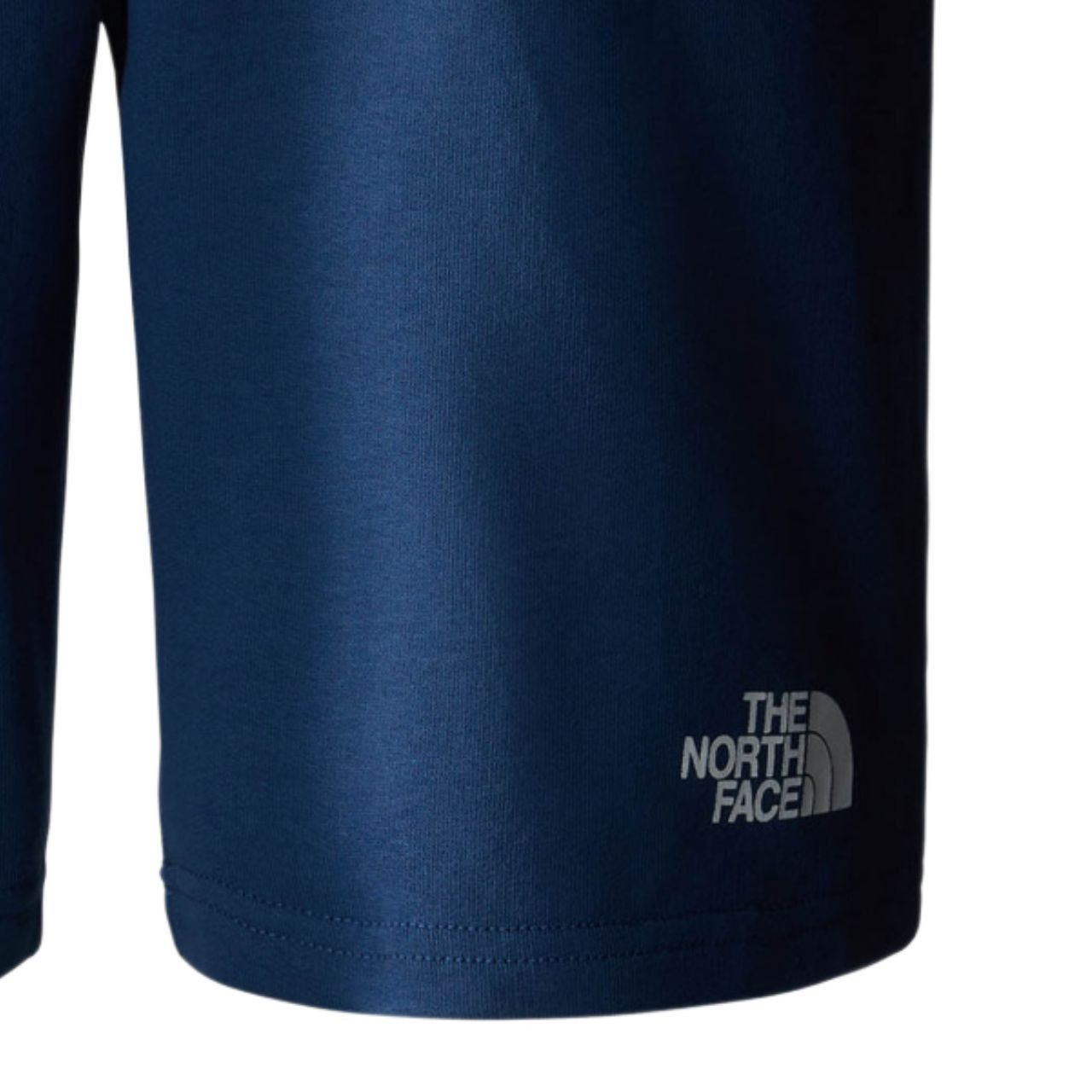 Шорти The North Face STANDARD SHORT NF0A3S4EHDC1