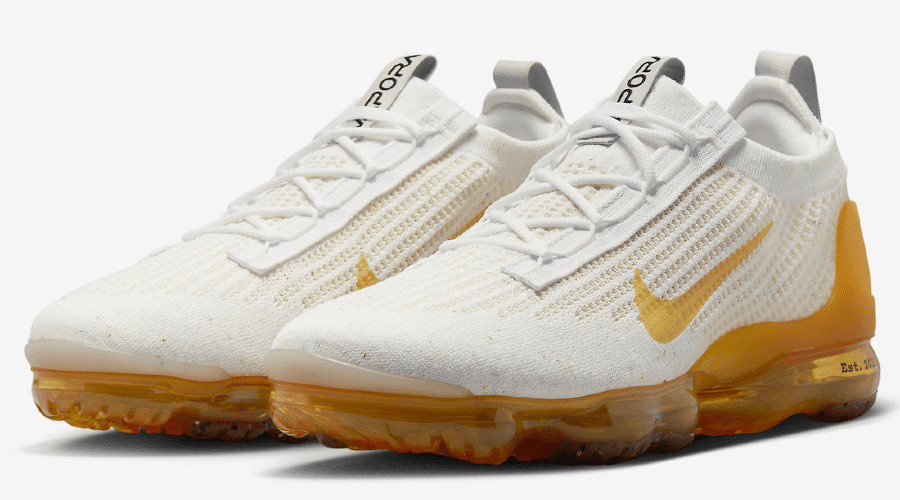 Кросівки Nike Air VaporMax 2021 Flyknit SE DQ8963-100