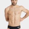 Плавки Arena TEAM SWIM BRIEFS SOLID 004773-550