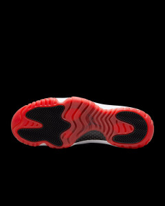 Кросівки Nike Air Jordan 11 FV5104-006