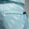 Шорти тренувальні JORDAN ESS POOLSIDE AOP SHORT DX9673-464