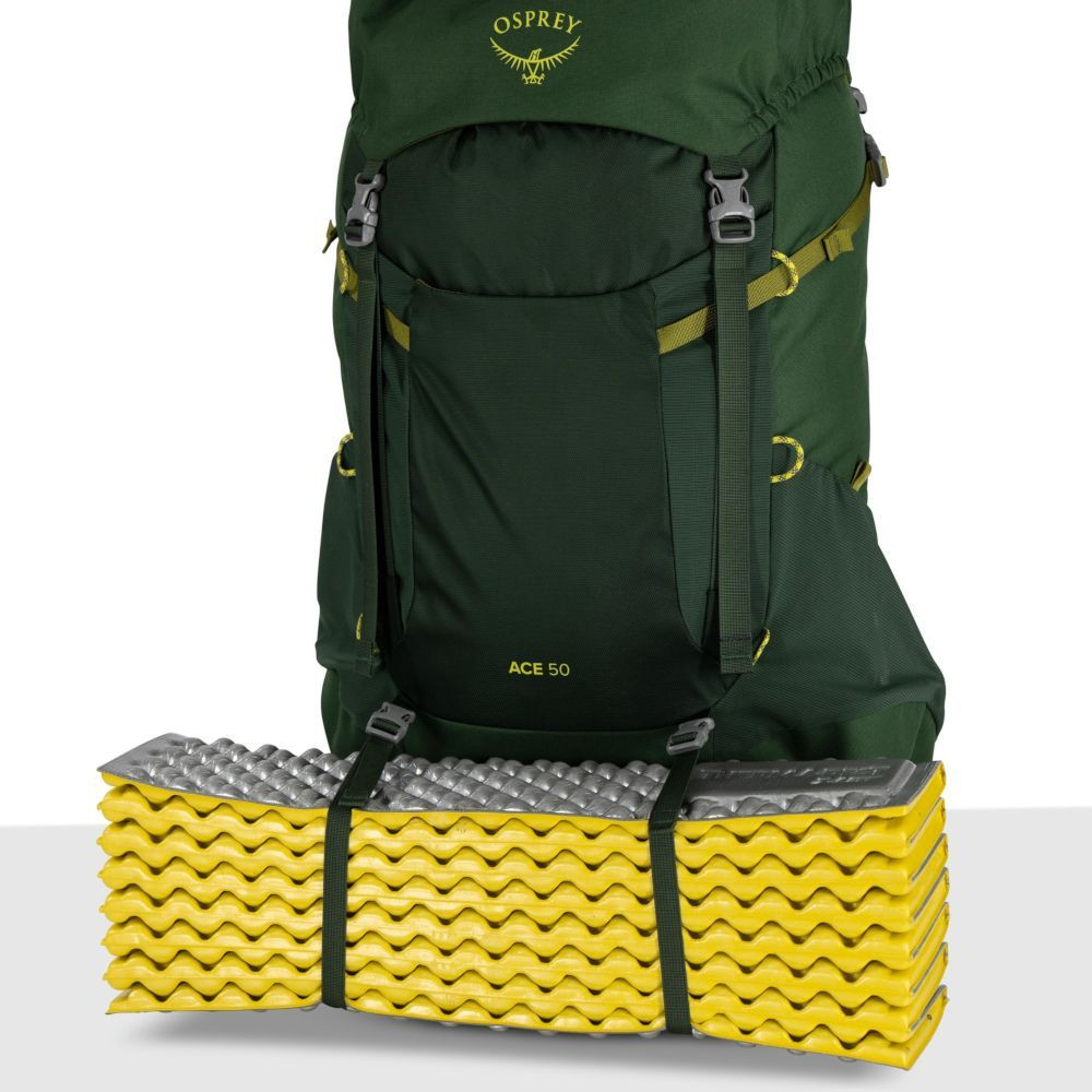 Рюкзак Osprey Ace 50 009.3886