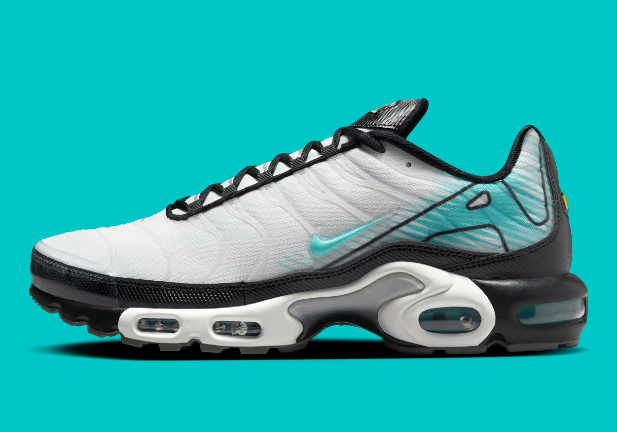 Кросівки Nike AIR MAX PLUS HV6225-100