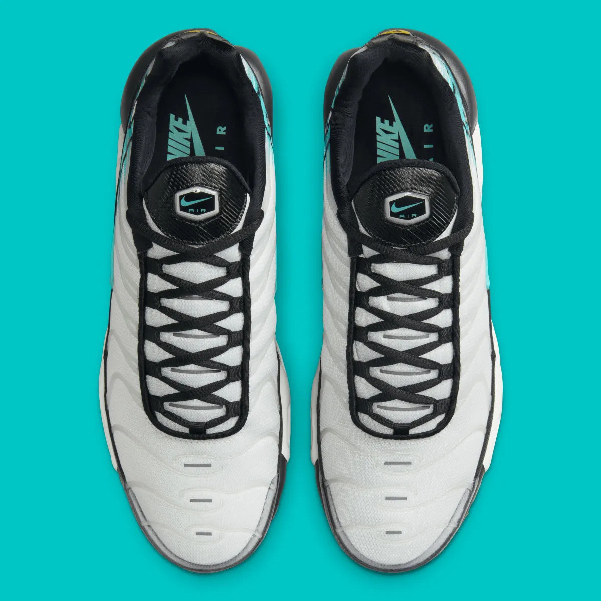 Кросівки Nike AIR MAX PLUS HV6225-100