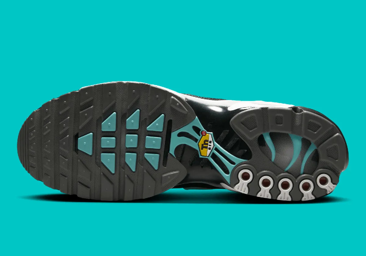 Кросівки Nike AIR MAX PLUS HV6225-100