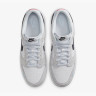 Кросівки Nike DUNK LOW FJ4227-001