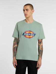 Футболка Dickies ICON LOGO TEE DK0A4XC9K361
