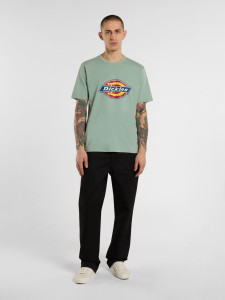 Футболка Dickies ICON LOGO TEE DK0A4XC9K361