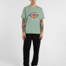 Футболка Dickies ICON LOGO TEE DK0A4XC9K361