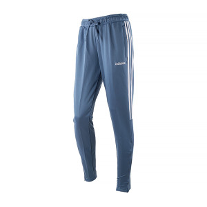 Брюки Adidas W SERE19 TRG PT
