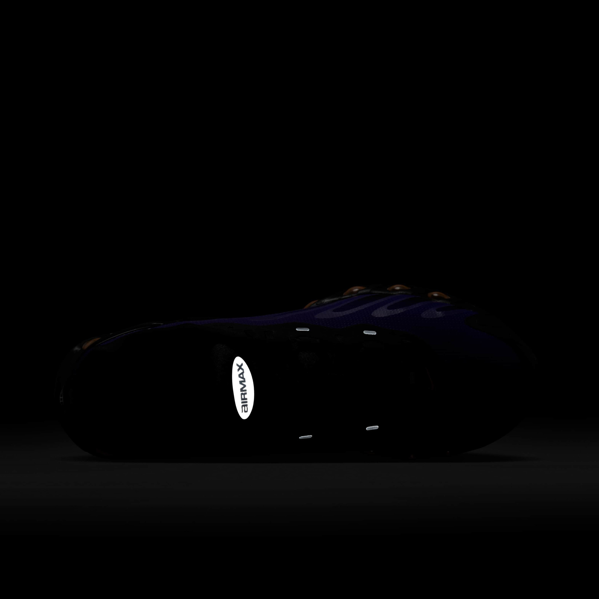 Кросівки Nike AIR MAX DN8 FQ7860-009