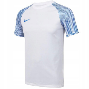 Футболка Nike Dri-FIT Academy DH8031-102 DH8031-102