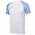 Футболка Nike Dri-FIT Academy DH8031-102 DH8031-102