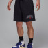 Шорти Jordan M BRK LBR GFX SHORT IB7910-010