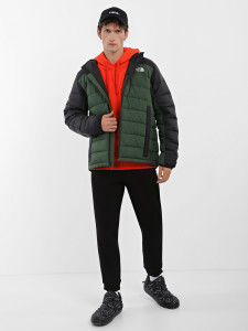 Куртка The North Face NF0A7WZWI0P1 NF0A7WZWI0P1