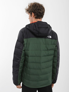 Куртка The North Face NF0A7WZWI0P1 NF0A7WZWI0P1