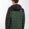 Куртка The North Face NF0A7WZWI0P1 NF0A7WZWI0P1