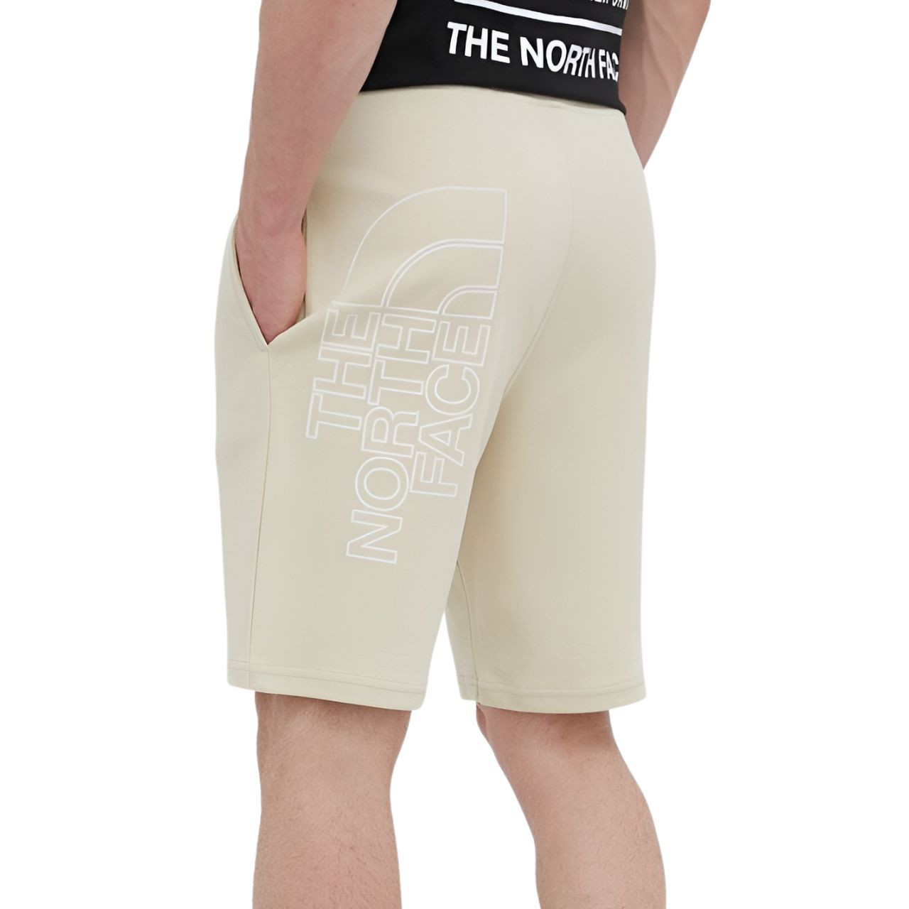 Шорти The North Face GRAPHIC SHORT LIGHT NF0A3S4F3X41