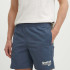Шорти Reebok Brand Proud 100075309