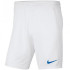 Шорти тренувальні Nike Y NK DF PARK III SHORT NB K BV6865-104