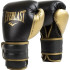 Рукавиці боксерські EVERLAST POWERLOCK 2R TRAINING GLOVE чорний, золотий Уні 12 унцій P00002662