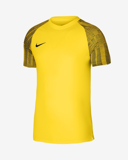 Футболка ігрова Nike Dri-FIT Academy DH8369-719 DH8369-719