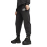 Штани спортивні PUMA CLASS Sweatpants 68503701 Puma L Чорний 68503701