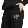 Штани спортивні PUMA CLASS Sweatpants 68503701 Puma L Чорний 68503701